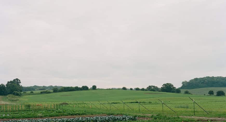 Fields and Crops at Gwenyn Hill Organic Farm in Wisconsin