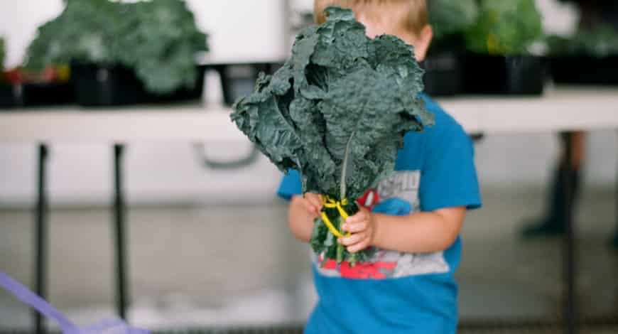 Organic Kale and Kid - CSA Pickup Near Milwaukee, WI - Gwenyn Hill Farm