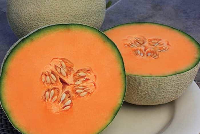 French Orange melon