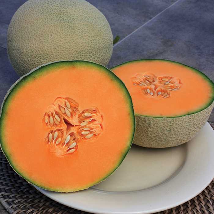 French Orange melon