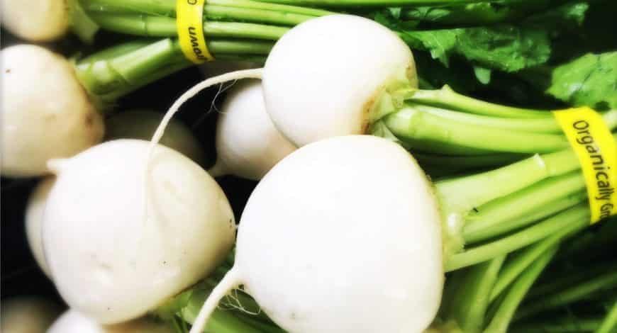 White Salad Turnips