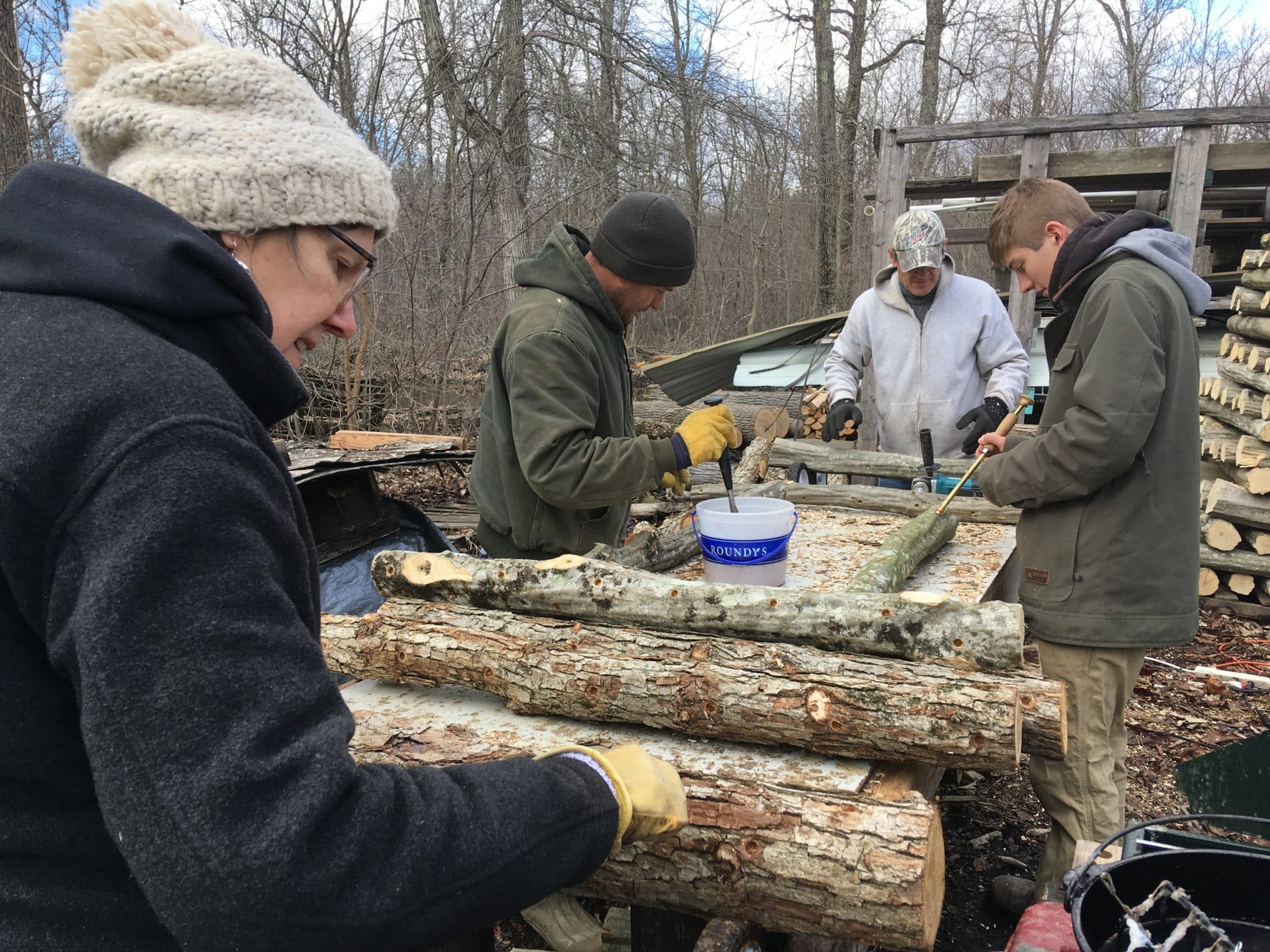 Team members inoculating mushroom logs.