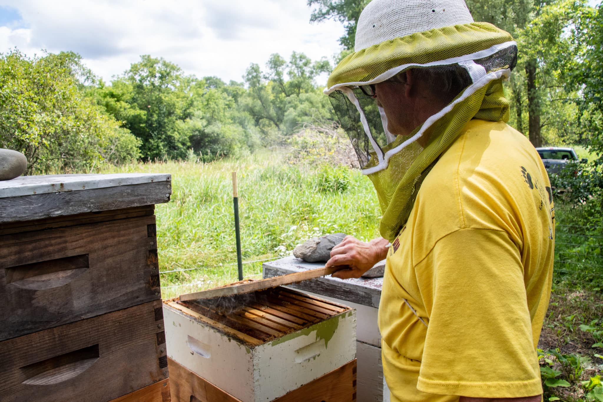 Quentin checks the honeybees